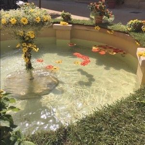 Meet your Posher, Isabella